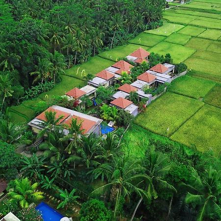 Asri Sari Ubud Villa & Resort Exterior foto