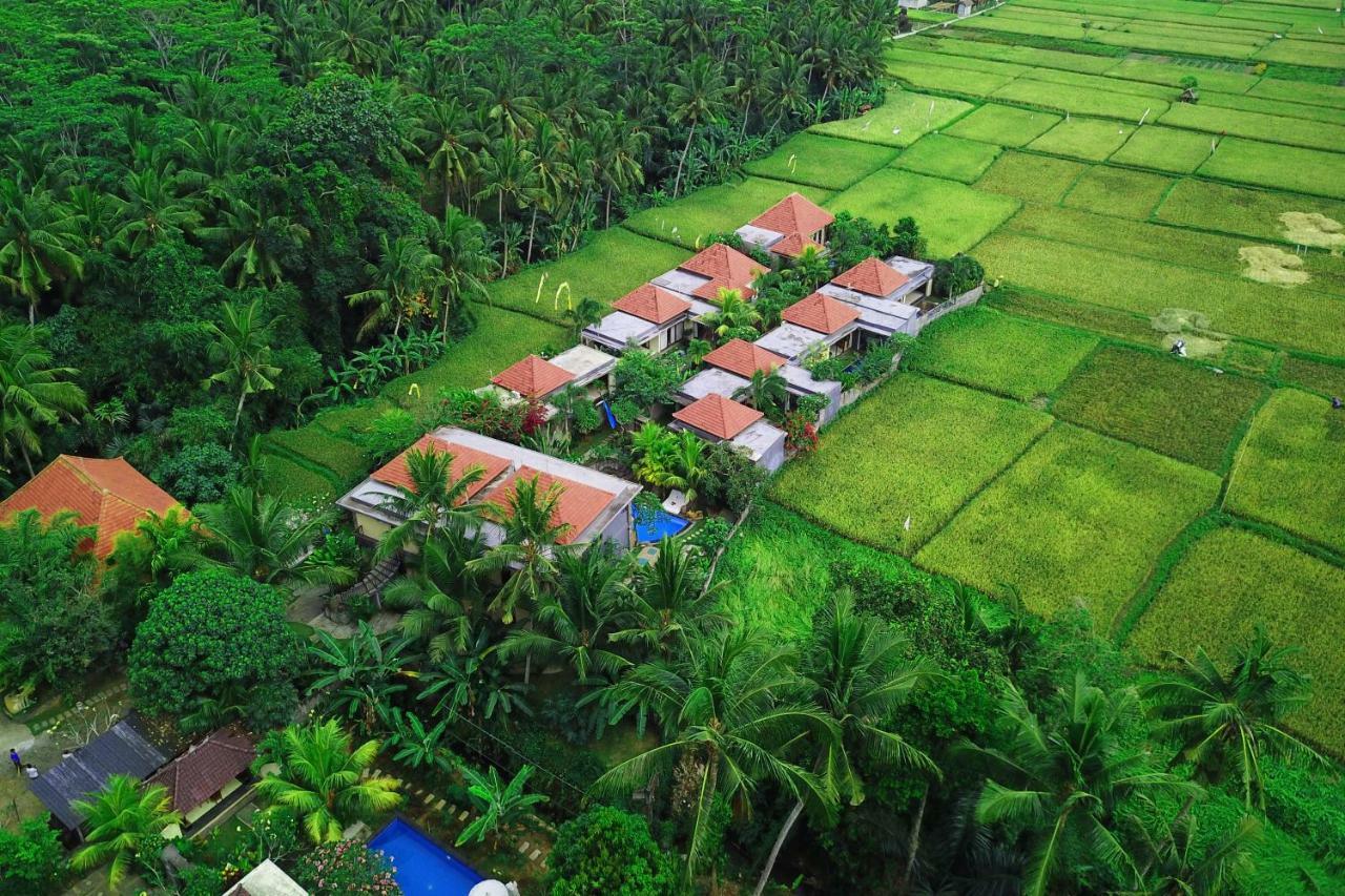Asri Sari Ubud Villa & Resort Exterior foto